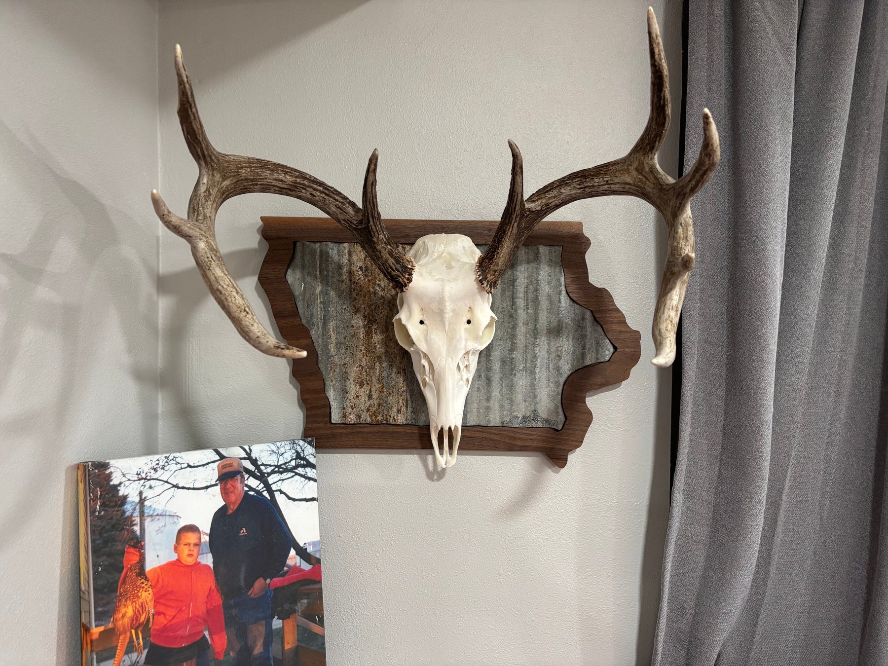 Deer skull mount with large antlers on a custom Iowa-shaped wooden plaque with a corrugated metal backing, hanging on a light grey wall.